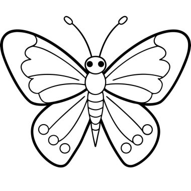 Silver-spotted Skipper butterfly vector illustrations on a white background. clipart