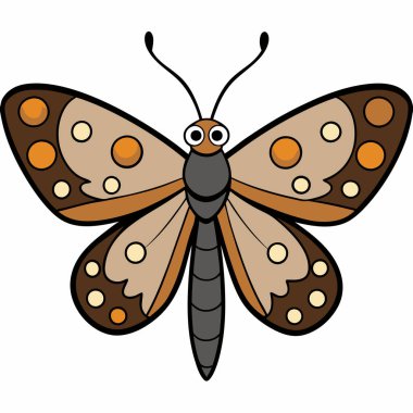 Speckled Wood butterfly vector illustrations on a white background. clipart