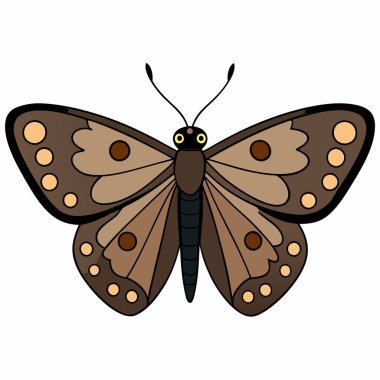 Speckled Wood butterfly vector illustrations on a white background. clipart