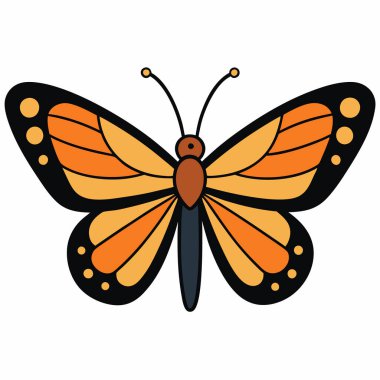 Spicebush Swallowtail butterfly vector illustrations on a white background. clipart