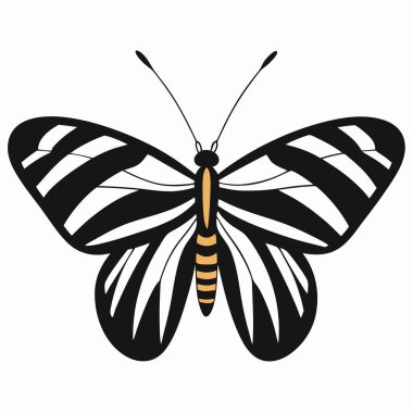 Zebra Longwing butterfly vector illustrations on a white background. clipart