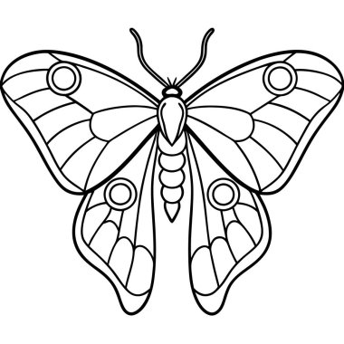 Atlas Moth insect flat vector illustration on white background clipart