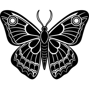 Atlas Moth insect flat vector illustration on white background clipart