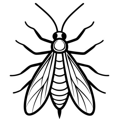 Caddisfly insect flat vector illustration on white background clipart