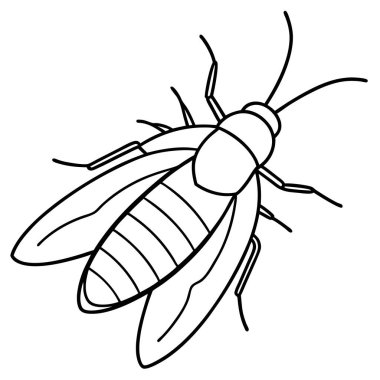 Caddisfly insect flat vector illustration on white background clipart