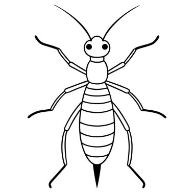 Antlion insect flat vector illustration on white background clipart