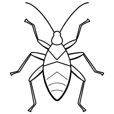 Assassin Bug insect flat vector illustration on white background clipart