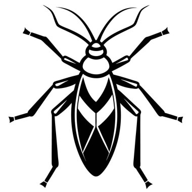 Assassin Bug insect flat vector illustration on white background clipart