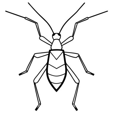 Assassin Bug insect flat vector illustration on white background clipart