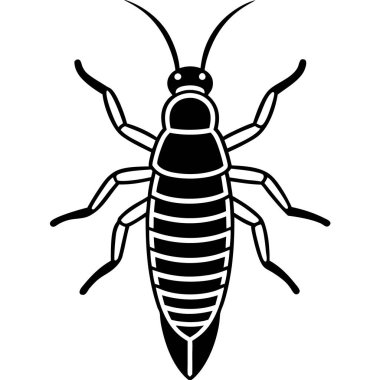 Earwig insect flat vector illustration on white background clipart