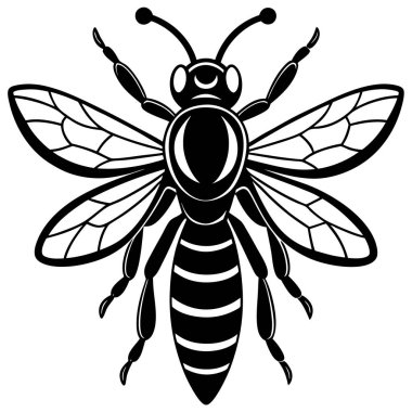 Hornet insect flat vector illustration on white background clipart