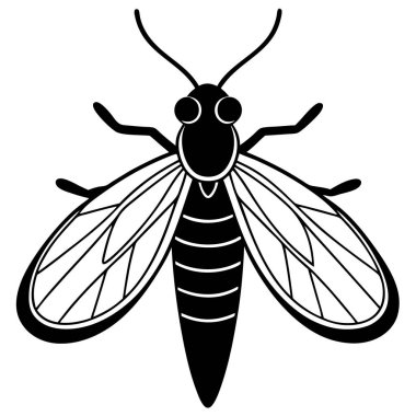 Mayfly insect flat vector illustration on white background clipart