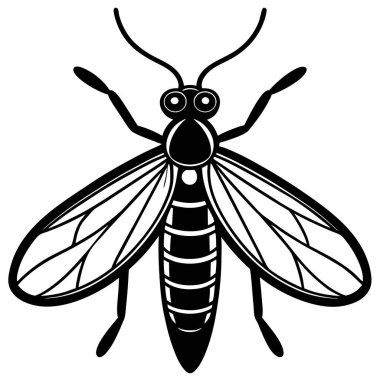 Mayfly insect flat vector illustration on white background clipart