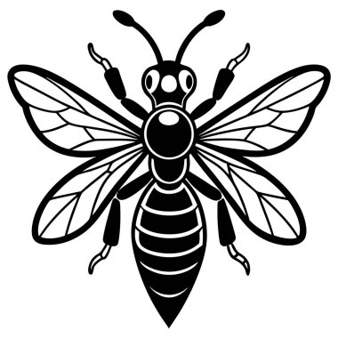 Sand Wasp insect flat vector illustration on white background clipart