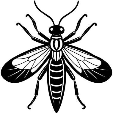 Scorpionfly insect flat vector illustration on white background clipart