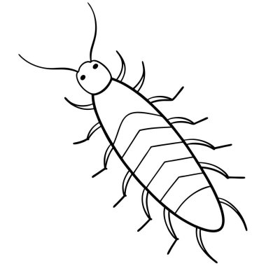 Silverfish insect flat vector illustration on white background clipart