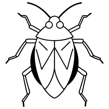 stink bug insect flat vector illustration on white background clipart