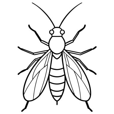 Stonefly insect flat vector illustration on white background clipart