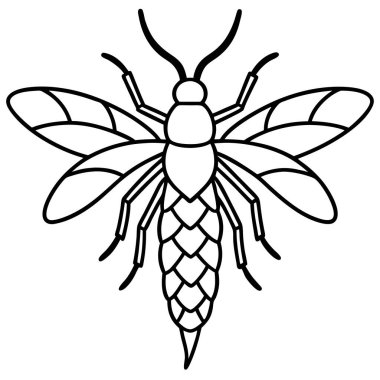 Thrips insect flat vector illustration on white background clipart