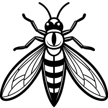 Thrips insect flat vector illustration on white background clipart