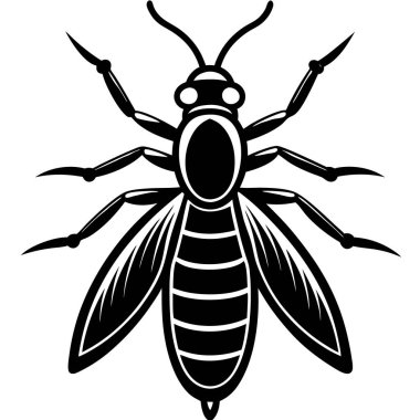 Thrips insect flat vector illustration on white background clipart