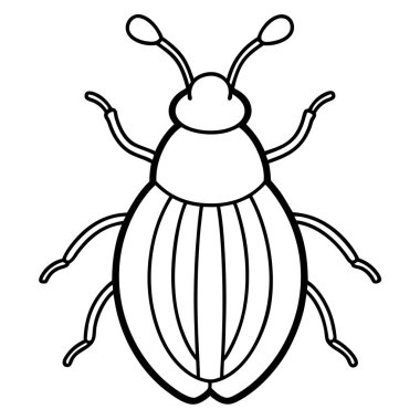 weevil insect flat vector illustration on white background clipart