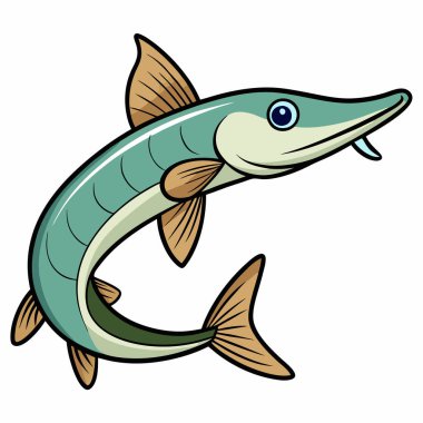 Gar fish isolated flat vector illustration on white background clipart