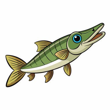 Pike fish isolated flat vector illustration on white background clipart