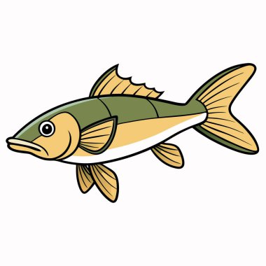 Walleye balığı beyaz arkaplanda izole edilmiş düz vektör çizimi