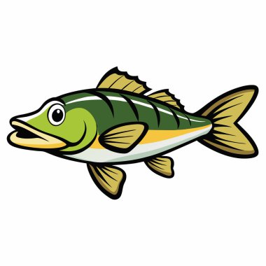 Walleye balığı beyaz arkaplanda izole edilmiş düz vektör çizimi