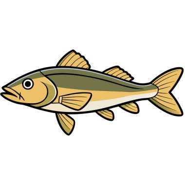 Walleye balığı beyaz arkaplanda izole edilmiş düz vektör çizimi