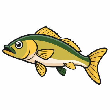 Walleye balığı beyaz arkaplanda izole edilmiş düz vektör çizimi