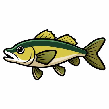 Walleye balığı beyaz arkaplanda izole edilmiş düz vektör çizimi