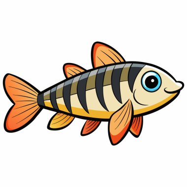 Zebra Danio fish isolated flat vector illustration on white background clipart