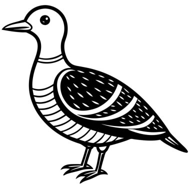 American Woodcock illüstrasyon düz vektör tasarımı