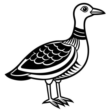 American Woodcock illüstrasyon düz vektör tasarımı