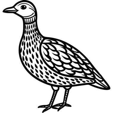 American Woodcock illüstrasyon düz vektör tasarımı