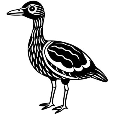 American Woodcock illüstrasyon düz vektör tasarımı