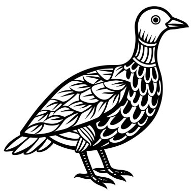 American Woodcock illüstrasyon düz vektör tasarımı