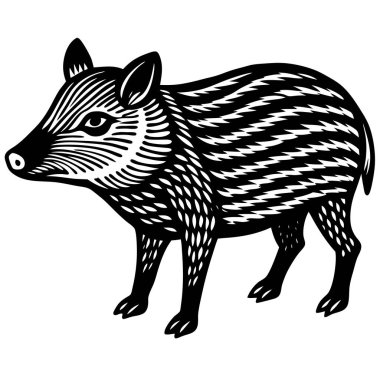 Yakalı Peccary çizimi düz vektör tasarımı