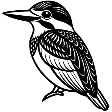 Yaygın Kingfisher illüstrasyonu beyaz arkaplan