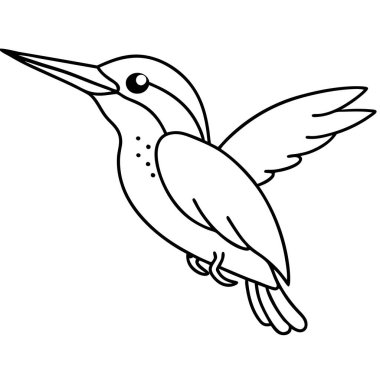 Yaygın Kingfisher illüstrasyonu beyaz arkaplan