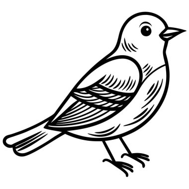 Doğu Bluebird illüstrasyon beyaz arkaplan