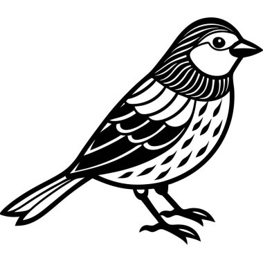 Indigo Bunting resimleme beyaz arkaplan