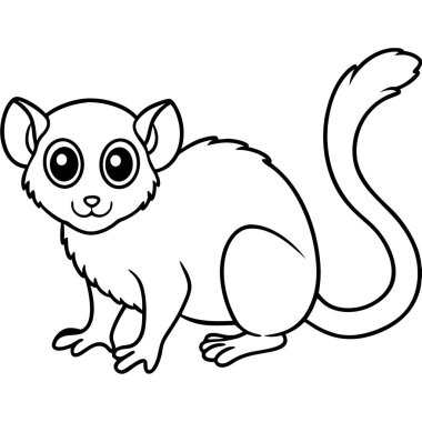 Pigme Marmoset vektör çizimi beyaz arkaplan