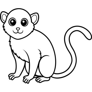 Pigme Marmoset vektör çizimi beyaz arkaplan