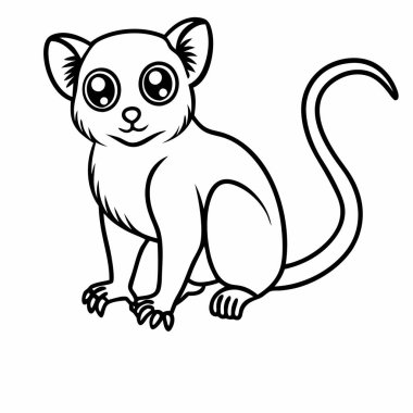Pigme Marmoset vektör çizimi beyaz arkaplan