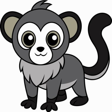 Pigme Marmoset vektör çizimi beyaz arkaplan