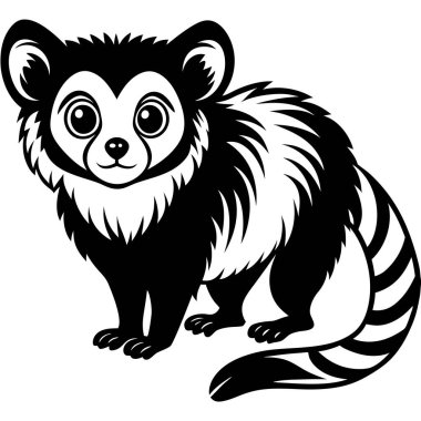 Pigme Marmoset vektör çizimi beyaz arkaplan