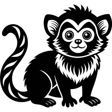 Pigme Marmoset vektör çizimi beyaz arkaplan